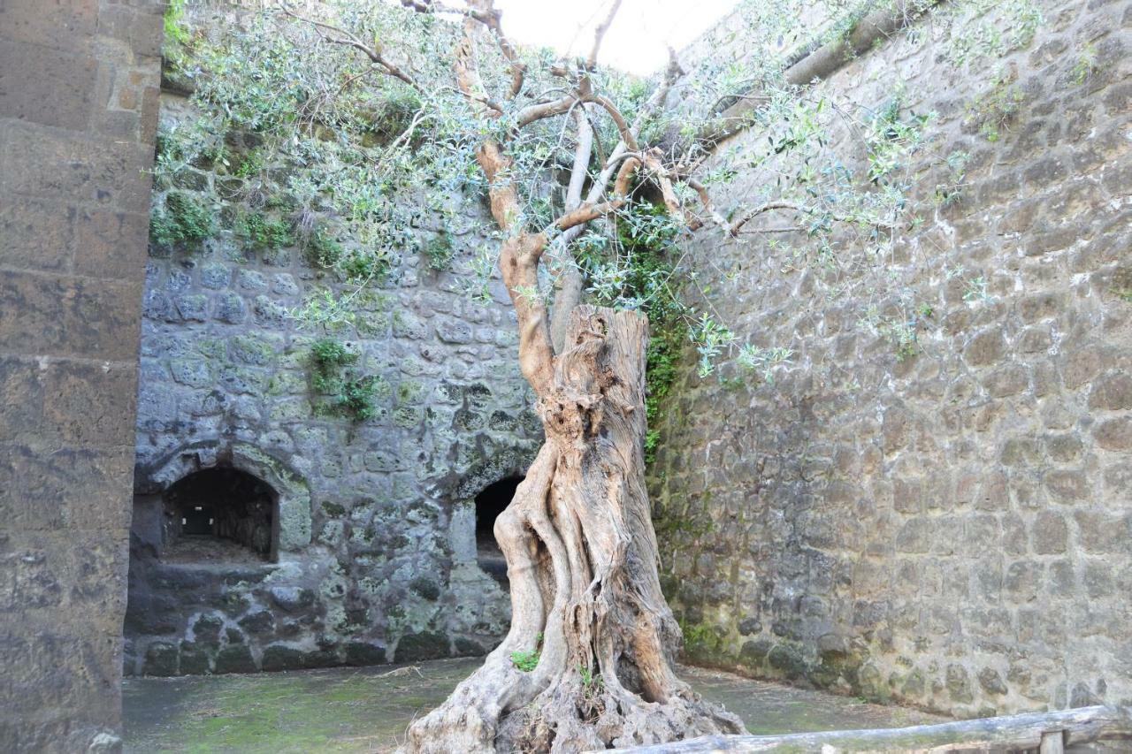ホテルLa Piccola ソレント エクステリア 写真